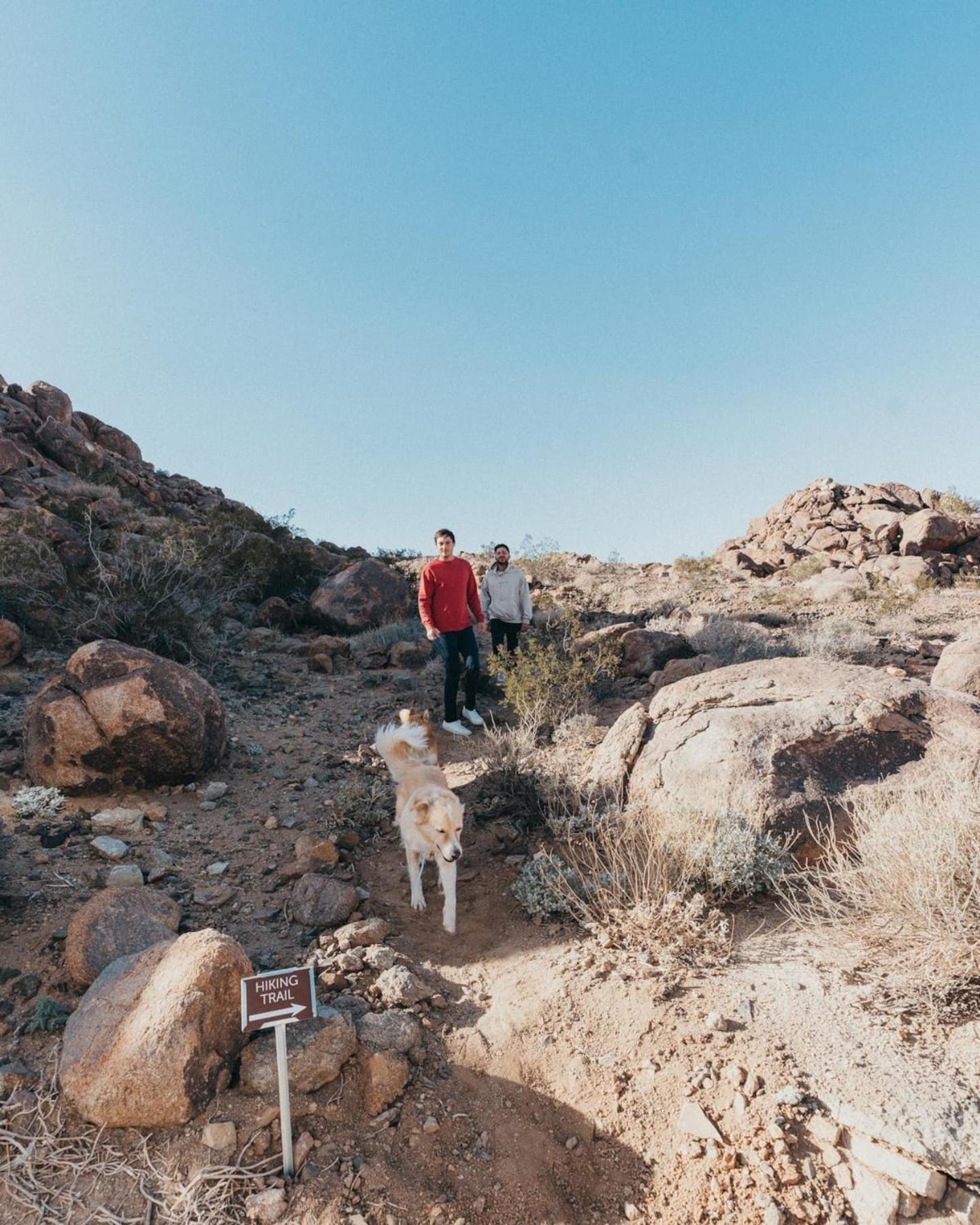 Willa Prism By The Cohost Company Joshua Tree Zewnętrze zdjęcie